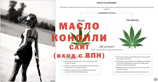 стафф Богородск