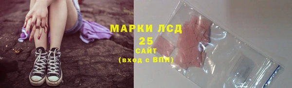 бошки Белокуриха