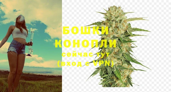 стафф Богородск