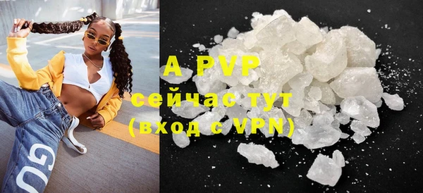 бошки Белокуриха