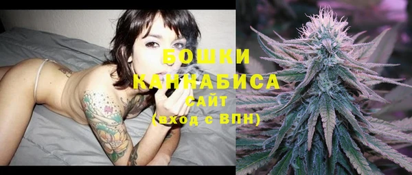 стафф Богородск