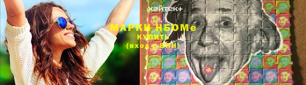 бошки Белокуриха